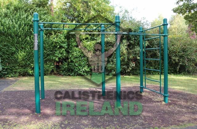 Outdoor gym setup at Albert College Park in Dublin, featuring calisthenics equipment for public bodyweight workouts