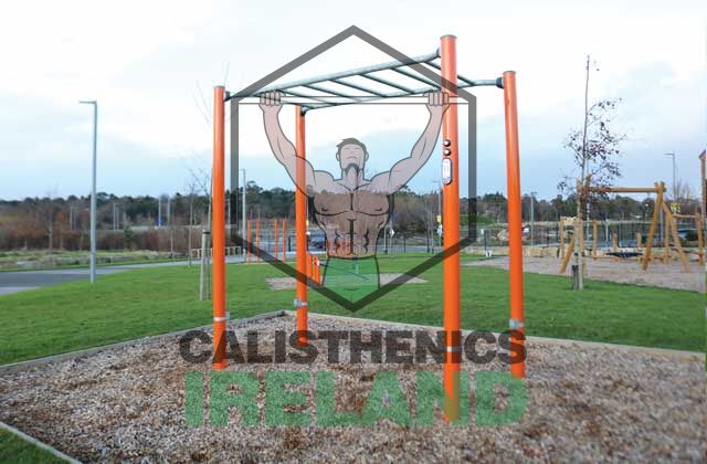 Monkey bars in Beckett Park outdoor gym, Dublin - calisthenics park equipment for bodyweight and functional training