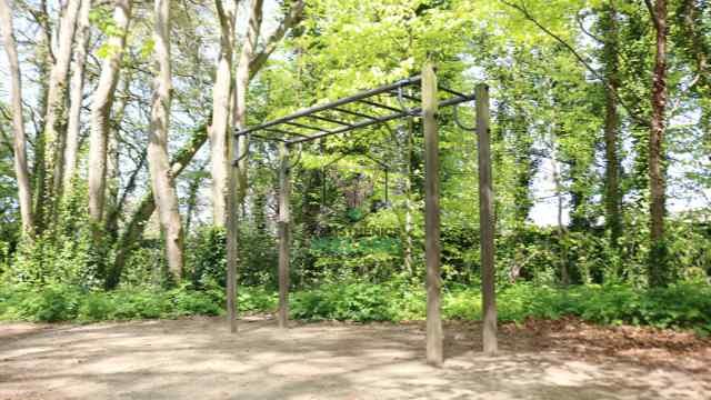 Outdoor monkey bars at Cabinteely Park in South Dublin, ideal for upper body and grip strength training