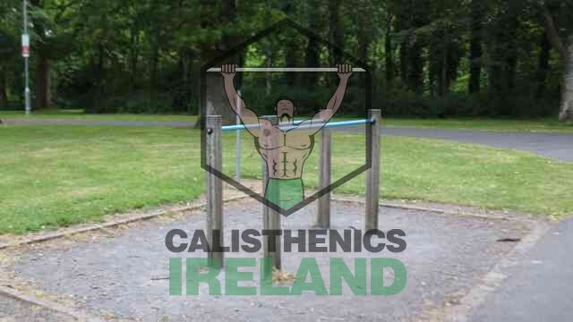 Public outdoor gym at Deer Park in South Dublin, featuring equipment for calisthenics, strength training, and mobility-focused exercises