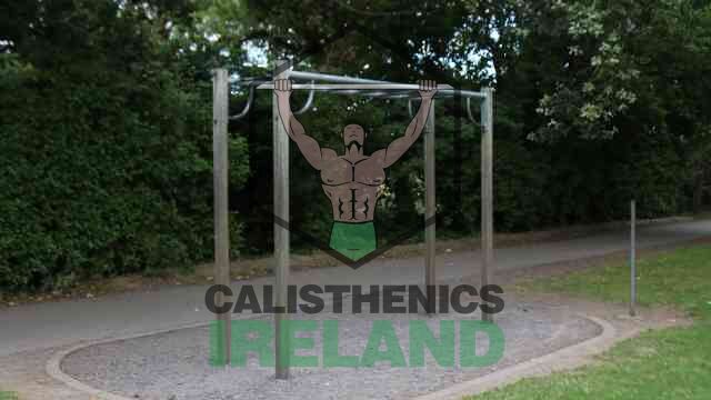 Outdoor monkey bar station at Deer Park in Dublin for calisthenics and functional workouts