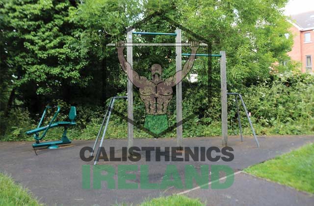 Outdoor fitness equipment at Father Collins Park in Dublin, designed for calisthenics and functional bodyweight training