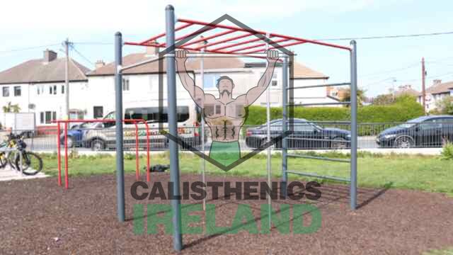 Outdoor monkey bar station at Hudson Road Park in Dublin. Great for upper body and grip strength training