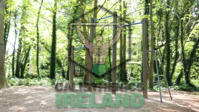 Street workout equipment - Cabinteely Park, South Dublin