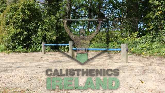 Public outdoor gym in Cabinteely Park, Dublin
