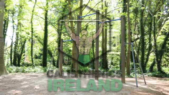 Street workout equipment - Cabinteely Park, South Dublin